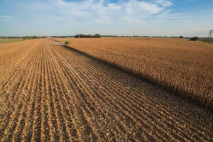 The 35th Integrated Crop Management Conference will bring together crop producers from across the midwest. 